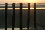 West Wittering - 40