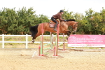SBM_004815