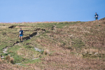 Black Combe-631