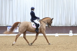 SBM_001664