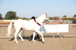 SBM_00182