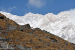 Blue sheep and Kanchenjunga