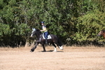 WJ6_7555