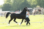 SBM_02232