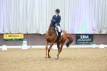 SBM_007226_Class 9 - FEI INT II - 1533-1635