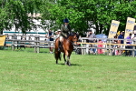 SBM_08012