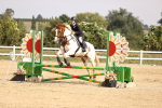 SBM_001974