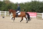 SBM_015047