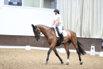 SBM_001381