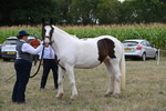 WJ6_5558