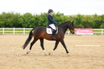 SBM_006589