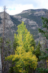 Fall in the Rockies