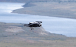 Andean Condor and Magellan Channel