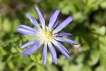 190420-untitled-1L4A0939-Edit