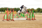 SBM_001981