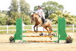 SBM_003702