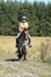 SPXX1397