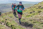 Black Combe-397