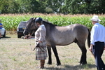 WJ6_4986