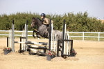 SBM_003034