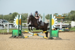 SBM_011616
