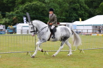 SBM_02512