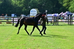 SBM_01031