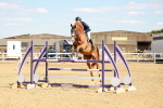 SBM_007540
