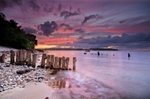 z2256 Bembridge Beach at Sunset