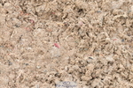230511A-181255-01679