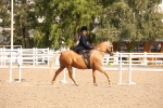 SBM_06713