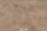 250621-145137-11600
