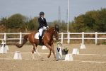 SBM_021906