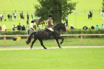 SBM_44760