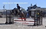 BPP_8029