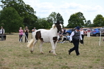 WJ6_5569