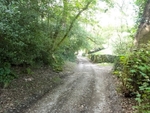 075  Our lane of tranquility  to Low Laithe