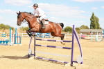 Class 5 - Senior British Foxhunter - 1.20m portfolio