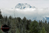 Frosted Fall_4655