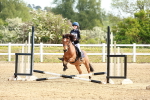 SBM_006589