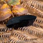 Sold Whitby Jet jsp708