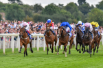 260823-Race 4-Absurde-0911