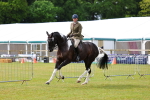SBM_02515
