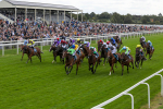 Race 1 1.50pm Symphony Group Handicap portfolio