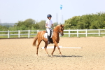 SBM_010066