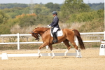 SBM_018328