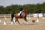 SBM_022445