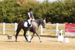 SBM_016569