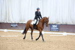 SBM_003331
