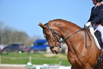 140-Tyler.Bradshaw-Gijsbert portfolio